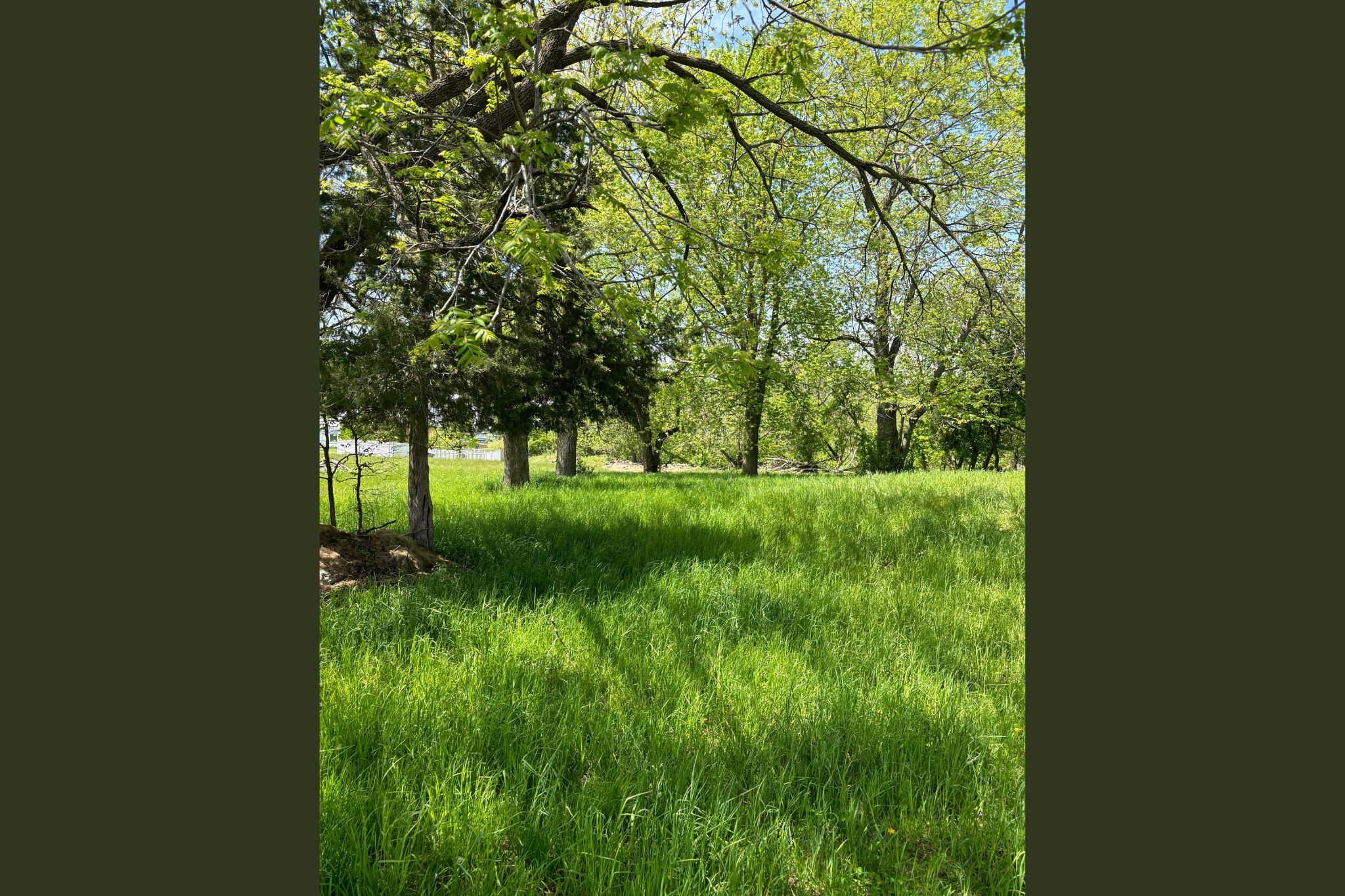 405/575 Cedar Cross Rd, Dubuque, IA, Image 14