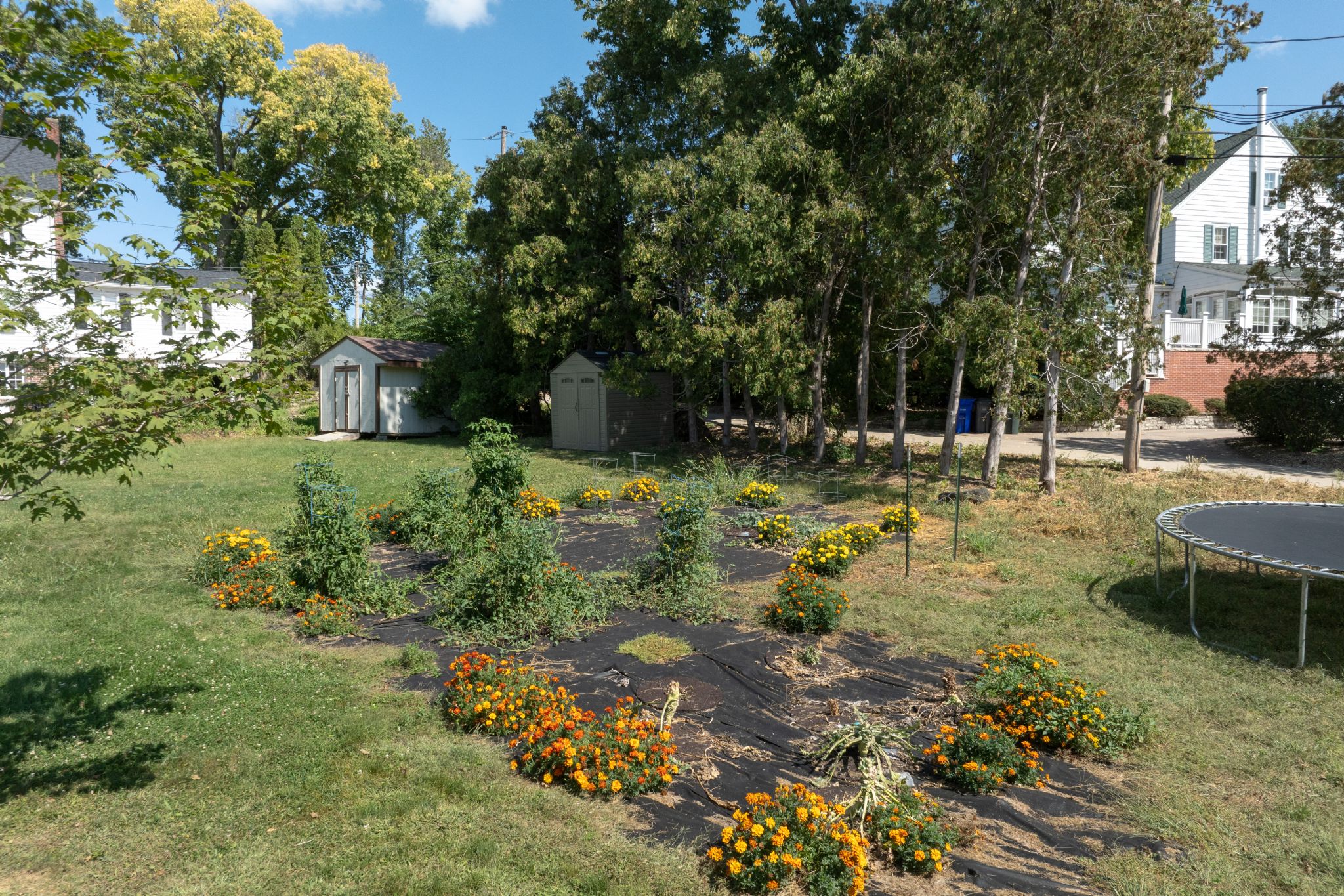 312 Crescent St SE, Cedar Rapids, IA, Image 44
