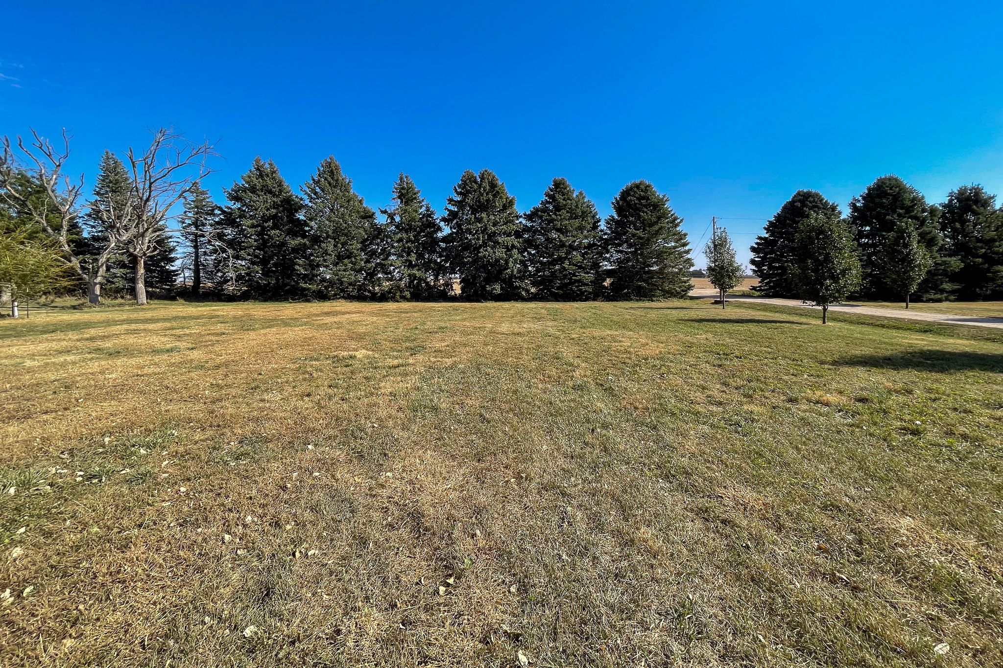 2523 County Rd 20, Cedar Bluffs, NE, Image 37