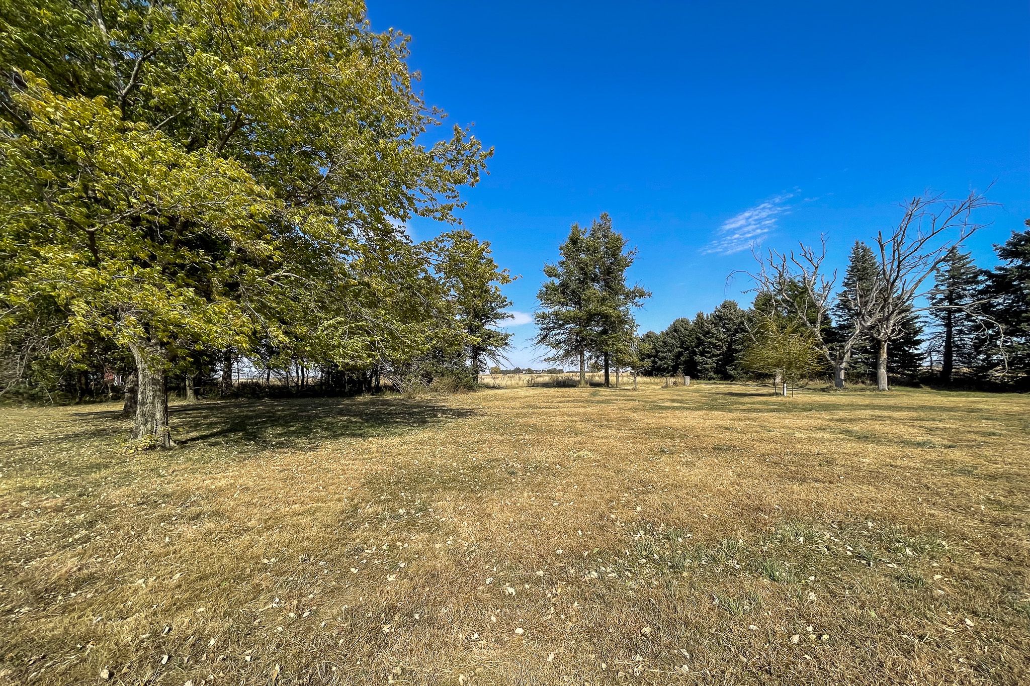 2523 County Rd 20, Cedar Bluffs, NE, Image 38