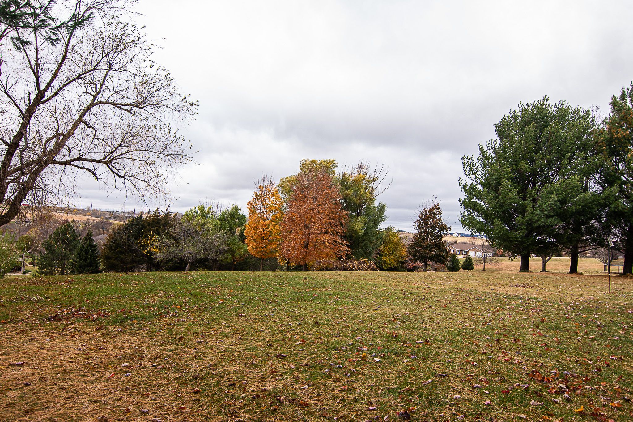 15807 Woodmoor Drive, Dubuque, IA, Image 43