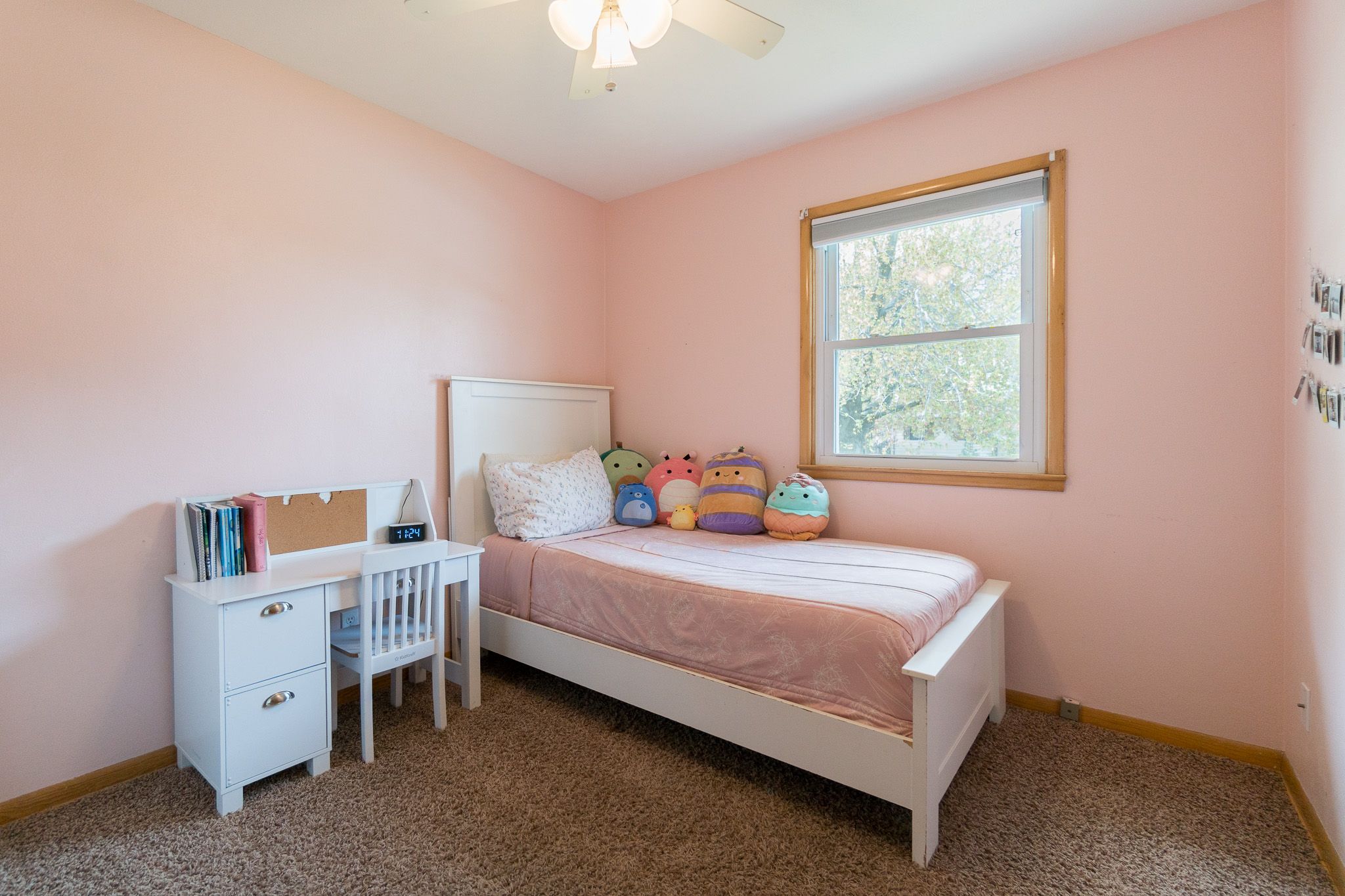 1102 Raney St, Hiawatha, IA, Image 11