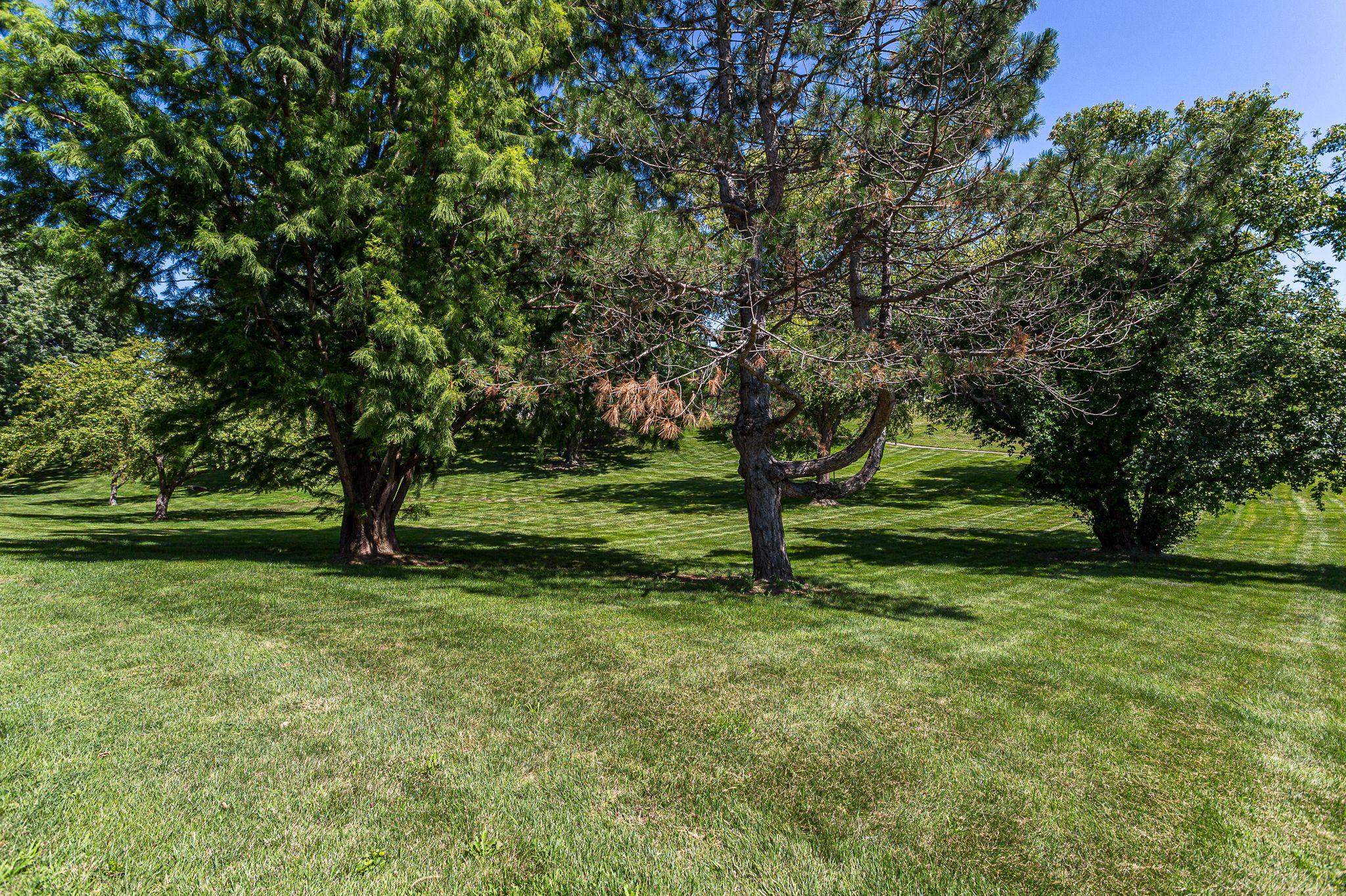 3065 Parkwild Dr, Bettendorf, IA, Image 35