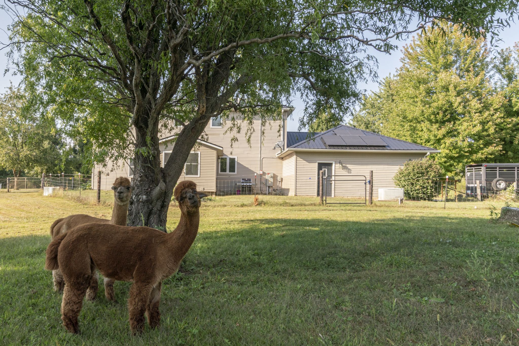 3332 Portwood Drive, Homestead, IA, Image 63