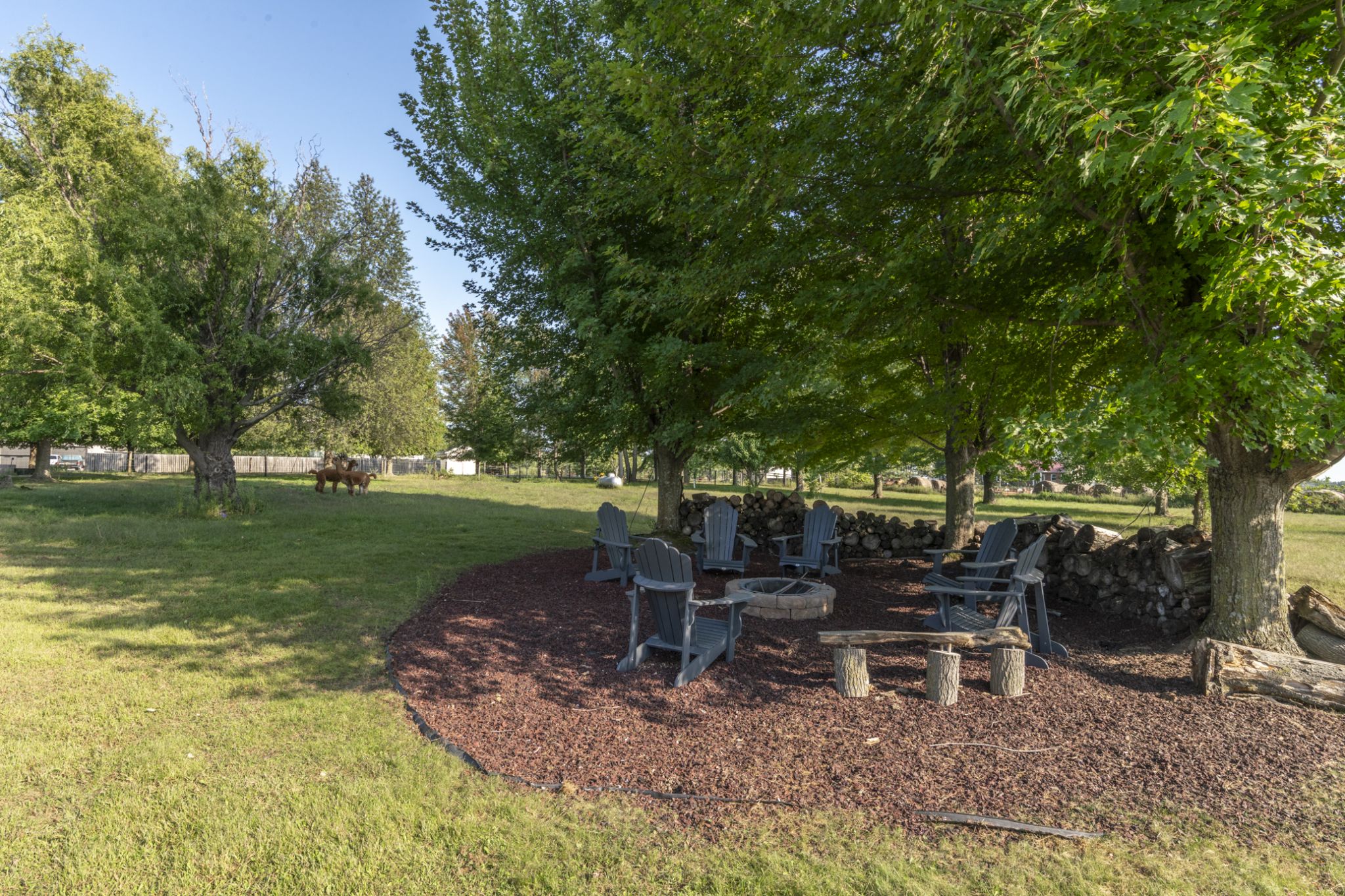 3332 Portwood Drive, Homestead, IA, Image 75