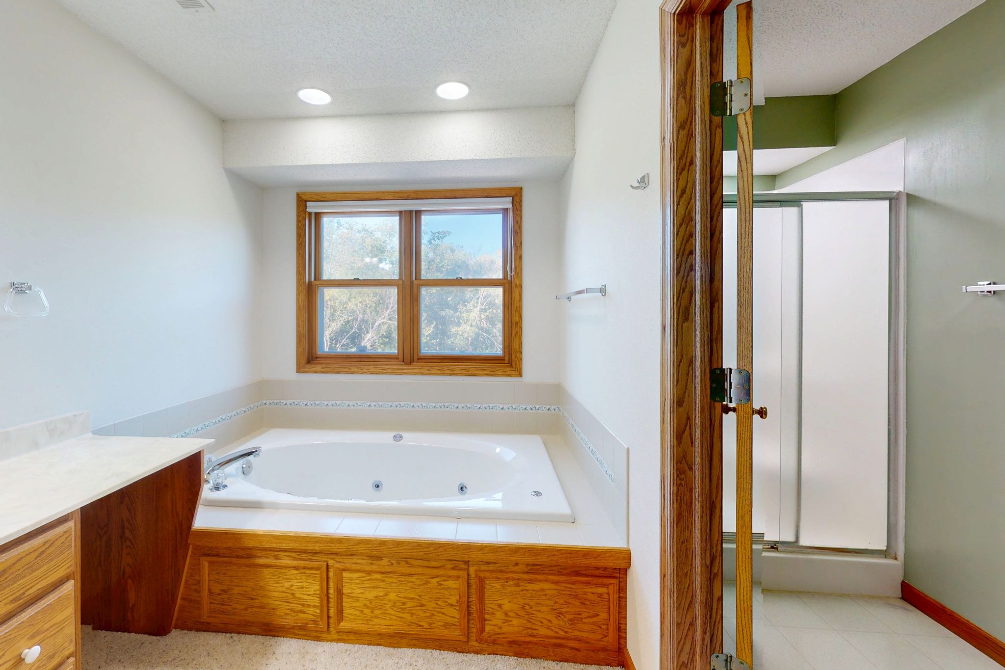 1411 Deer Woods Dr NE, Swisher, IA, Image 17