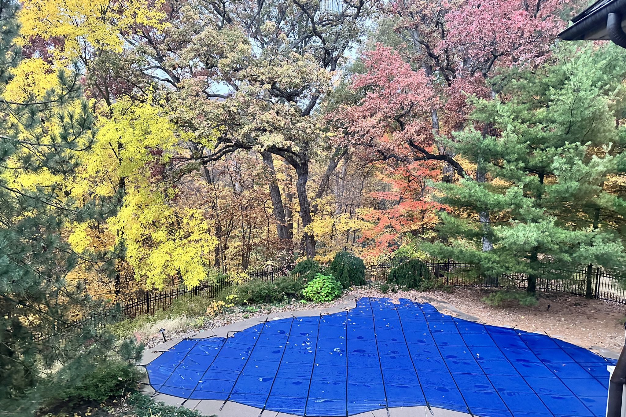 1302 Woodland Ln,&nbsp;Le Claire,&nbsp;IA,&nbsp;Image&nbsp;102