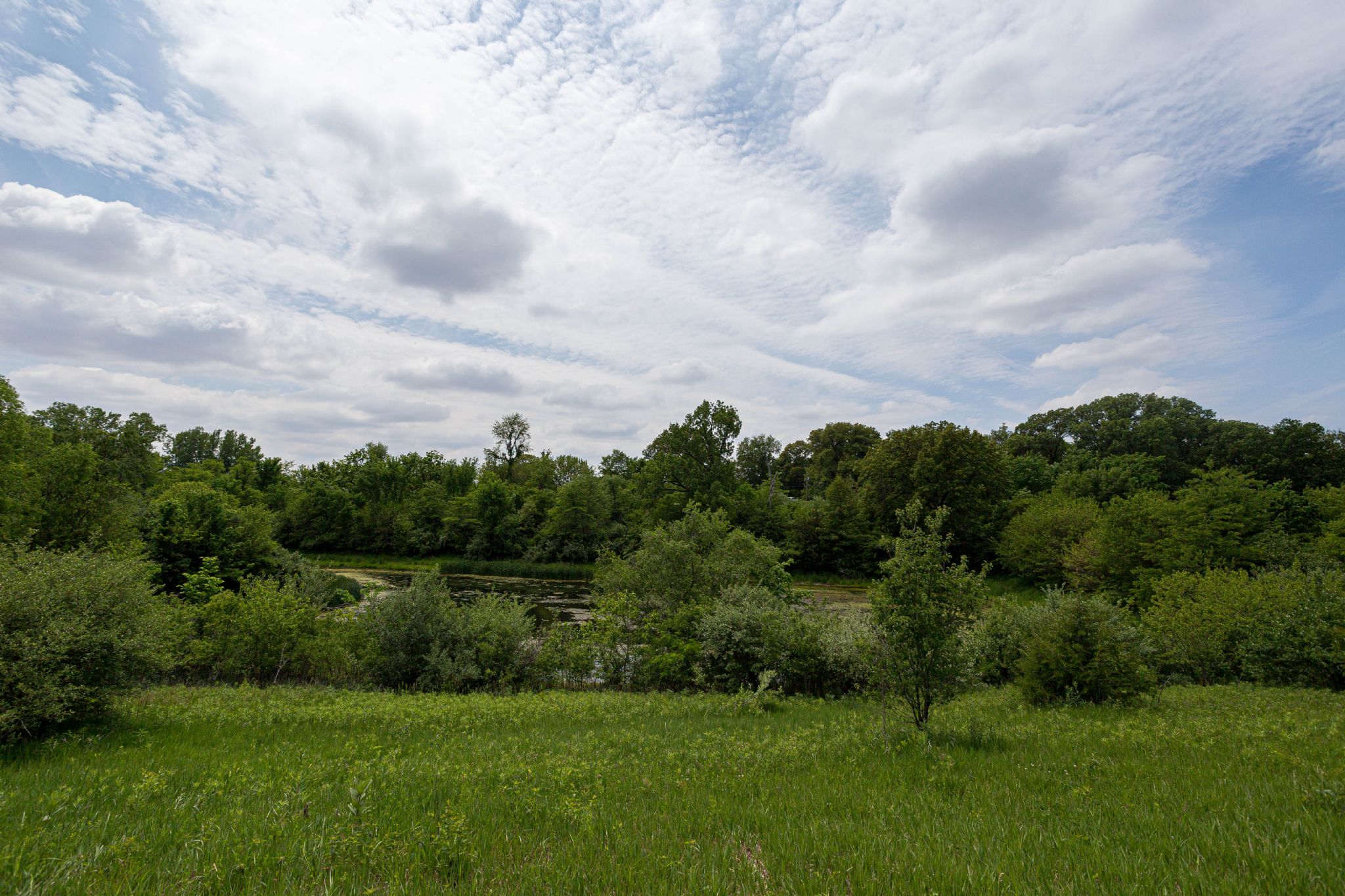 1033 8th St E,&nbsp;Andalusia,&nbsp;IL,&nbsp;Image&nbsp;2