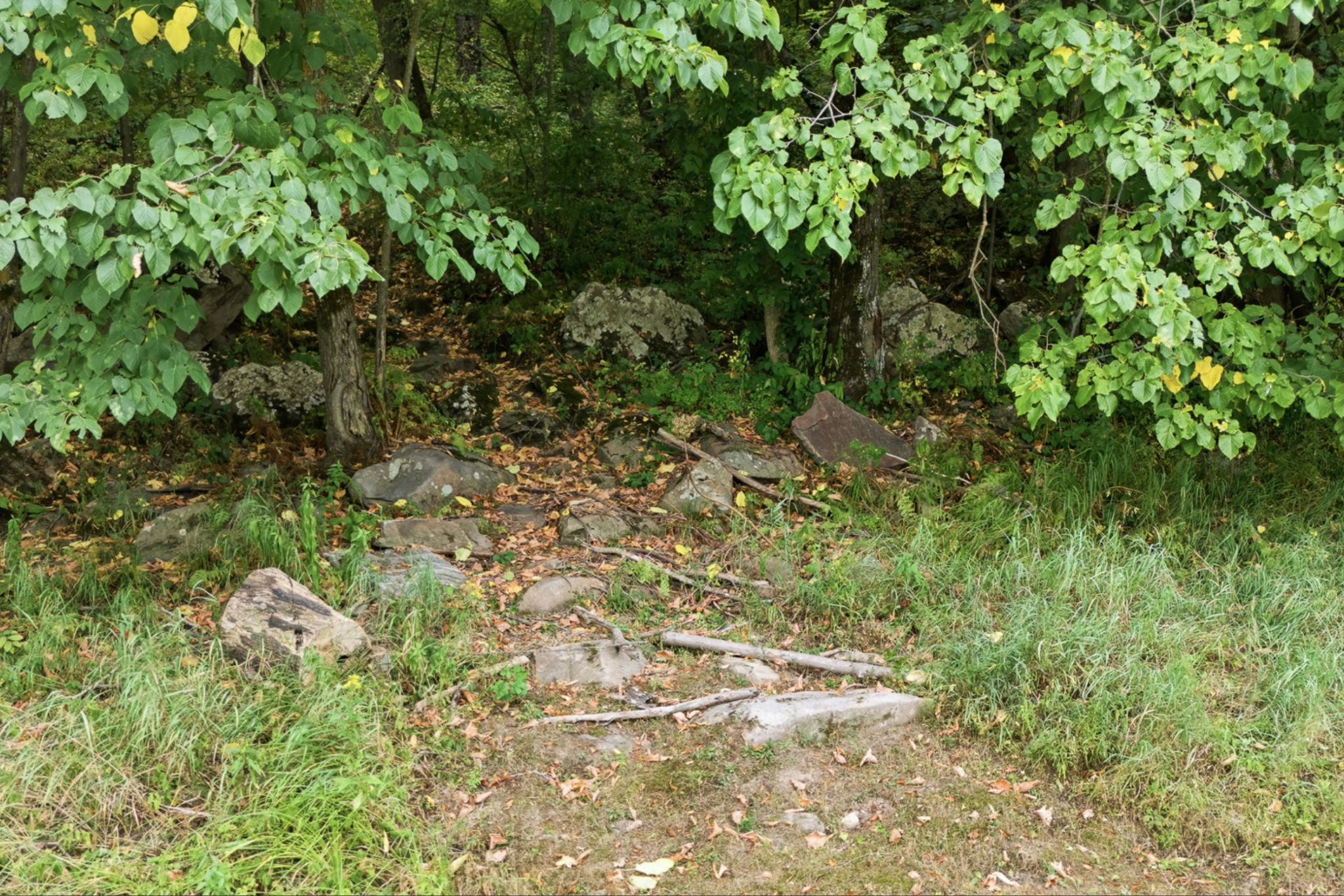 N3944 River Ave.,&nbsp;Neillsville,&nbsp;WI,&nbsp;Image&nbsp;34
